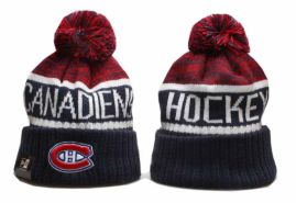 Picture for category Nhl Beanies